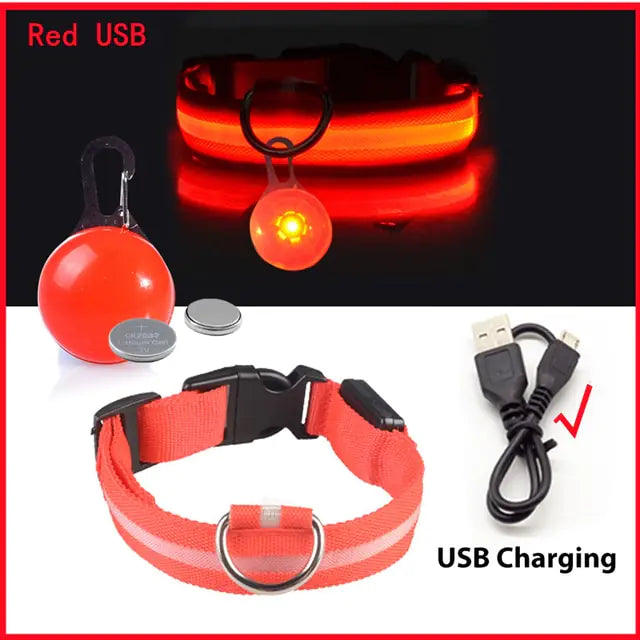 USB Charging LED Dog Collar with Detachable Pendant