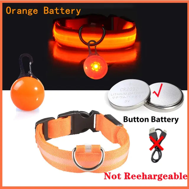 USB Charging LED Dog Collar with Detachable Pendant