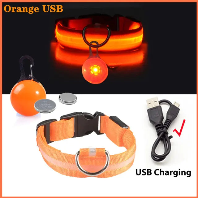 USB Charging LED Dog Collar with Detachable Pendant