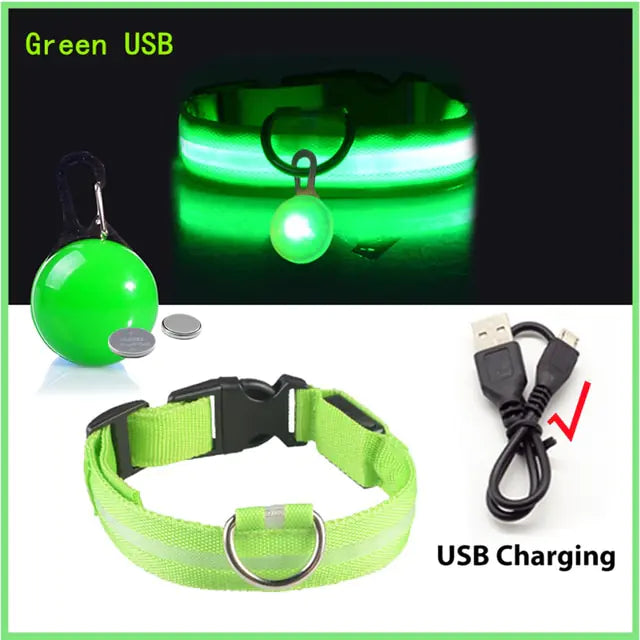 USB Charging LED Dog Collar with Detachable Pendant