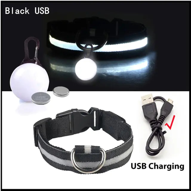 USB Charging LED Dog Collar with Detachable Pendant