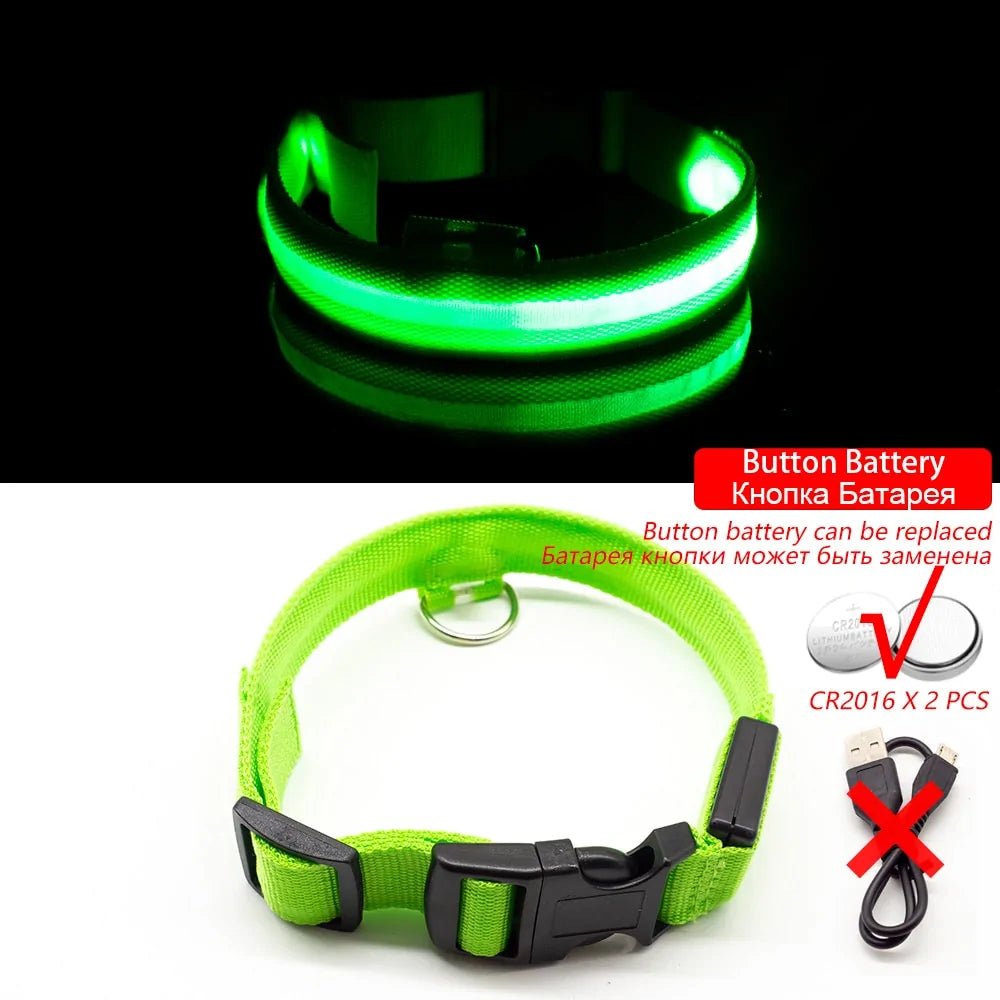 USB Charging LED Dog Collar