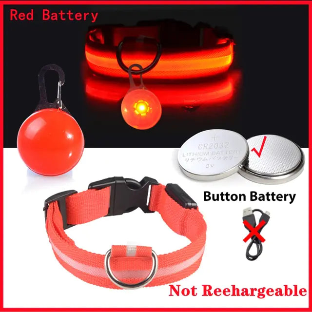 USB Charging LED Dog Collar with Detachable Pendant