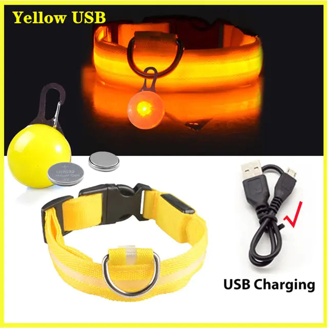 USB Charging LED Dog Collar with Detachable Pendant