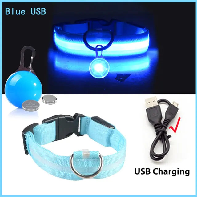 USB Charging LED Dog Collar with Detachable Pendant