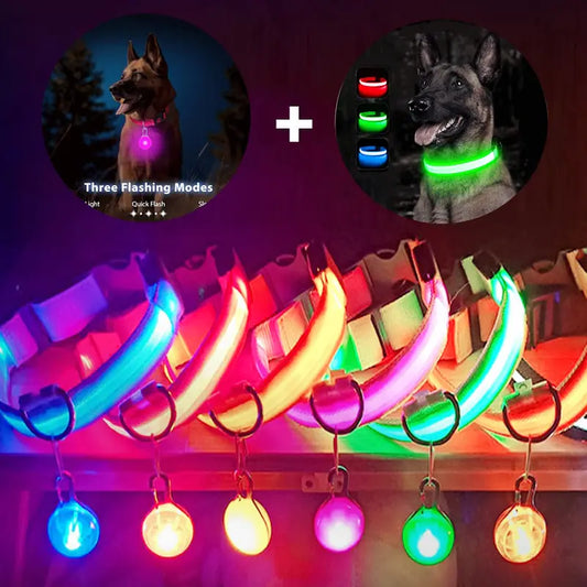 USB Charging LED Dog Collar with Detachable Pendant